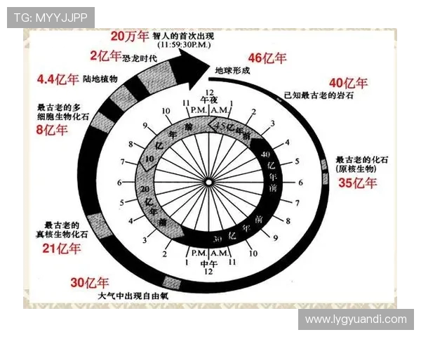 北京街舞队运营模式创新探索与发展路径分析 北京街舞队运营模式创新探索与发展路径分析