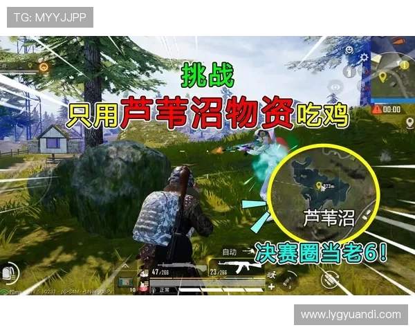 和平精英V5战队奋斗历程全景回顾与成长启示