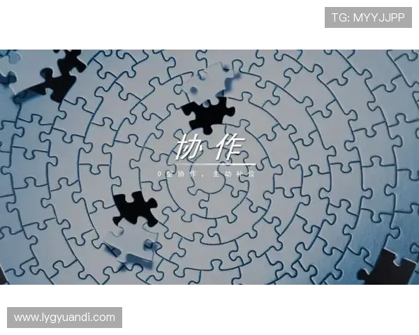 杭州排球队团队协作的成功之道与挑战分析