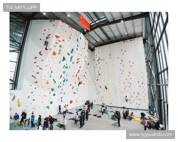 武汉攀岩队与成都攀岩队赛后战术分析与总结探讨