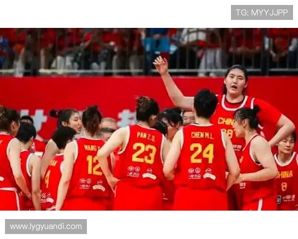 深圳篮球队实力强劲荣登排行榜第一名引发关注与期待