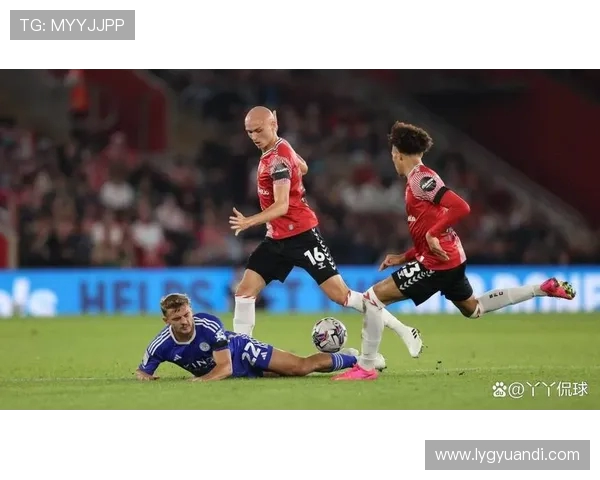 南安普敦主场迎战莱斯特城双方争夺英超宝贵积分之战 南安普敦主场迎战莱斯特城双方争夺英超宝贵积分之战